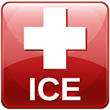 ICE Data Provider